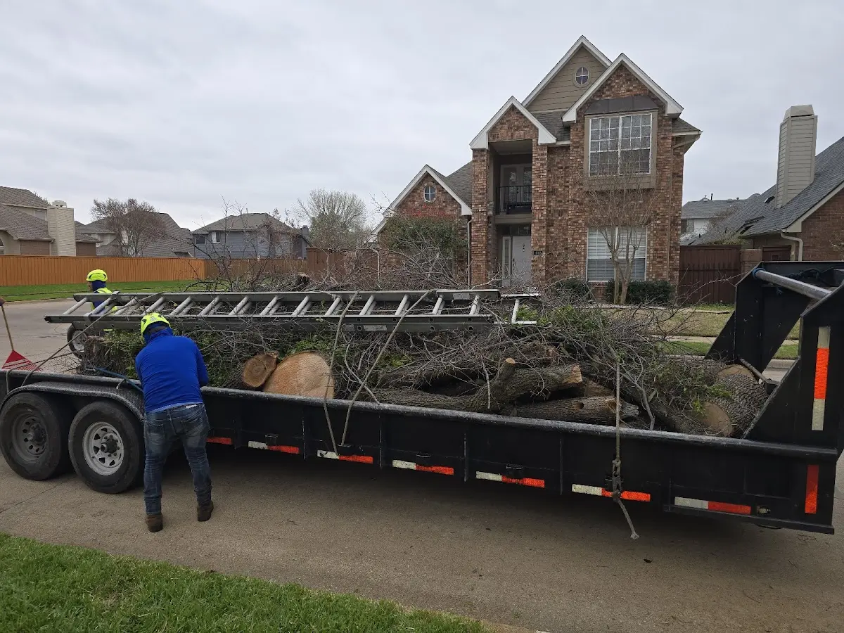 Expert Tree Removal with proper safety equipment in Conshohocken